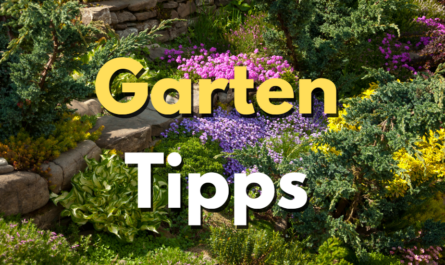 Garten Tipps
