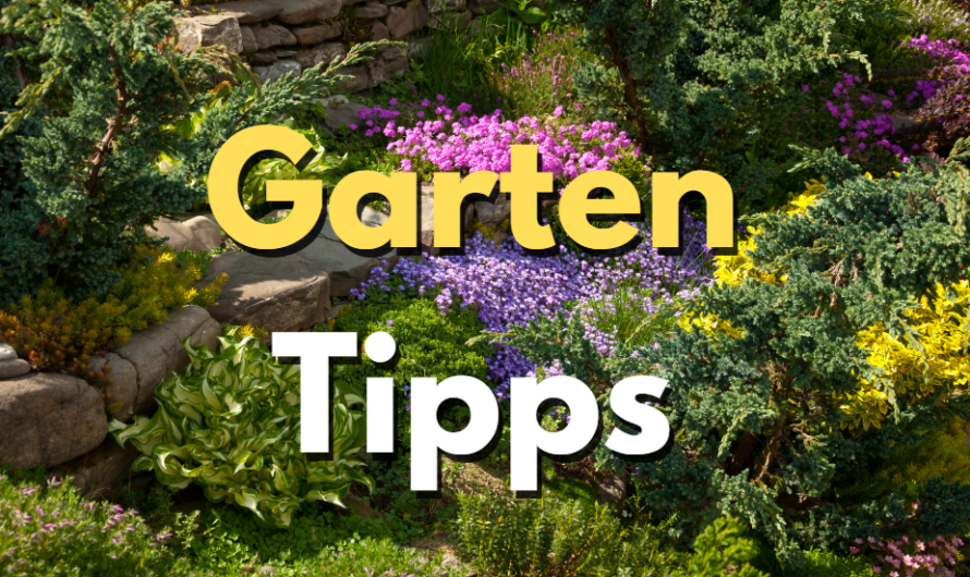 Frühlingserwachen im Garten: Essentielle Tipps für eine blühende Saison